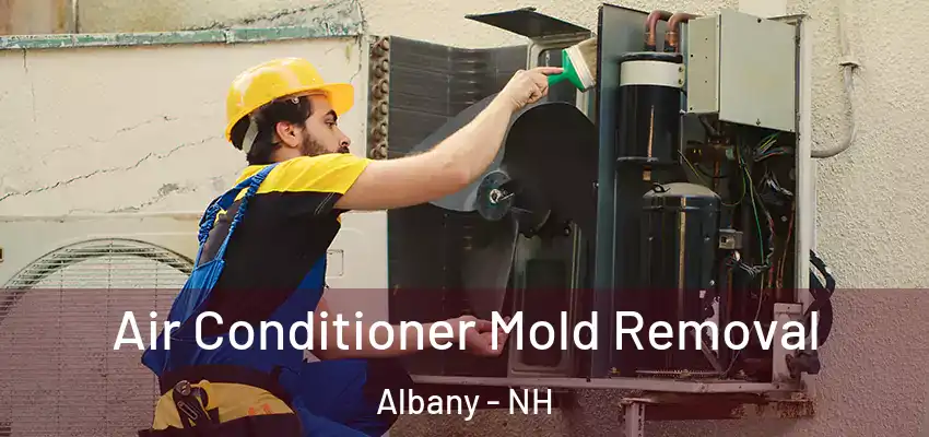  Air Conditioner Mold Removal Albany - NH