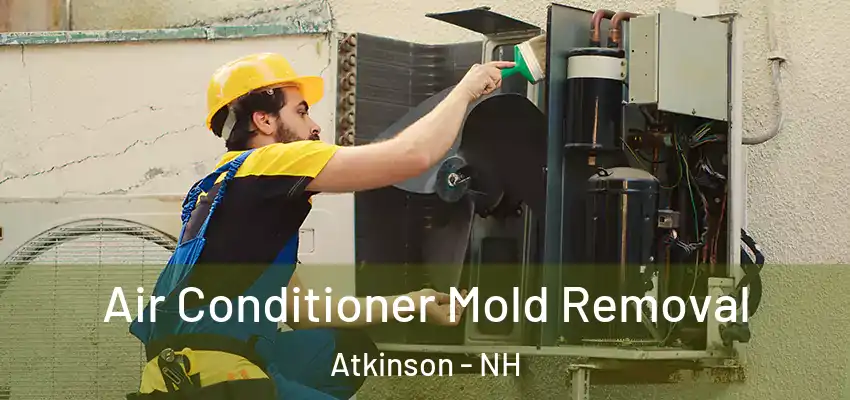  Air Conditioner Mold Removal Atkinson - NH
