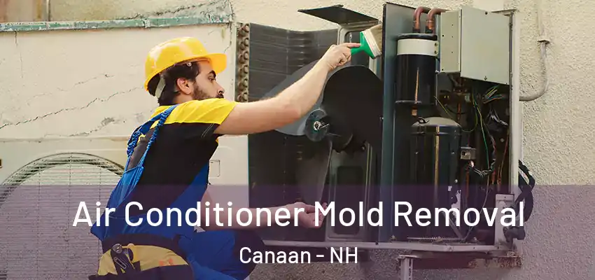  Air Conditioner Mold Removal Canaan - NH