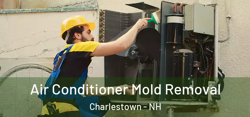  Air Conditioner Mold Removal Charlestown - NH