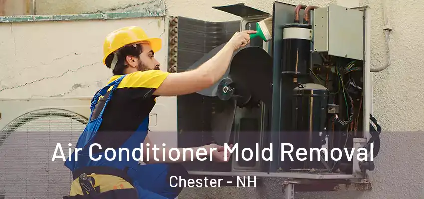 Air Conditioner Mold Removal Chester - NH
