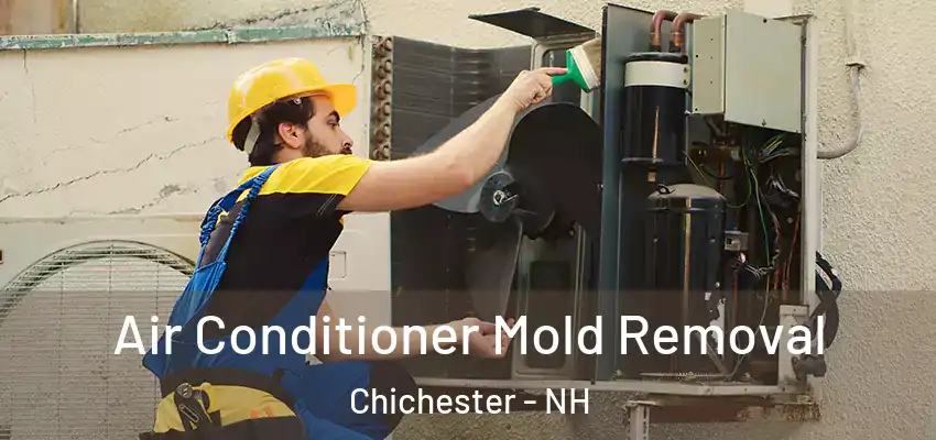  Air Conditioner Mold Removal Chichester - NH