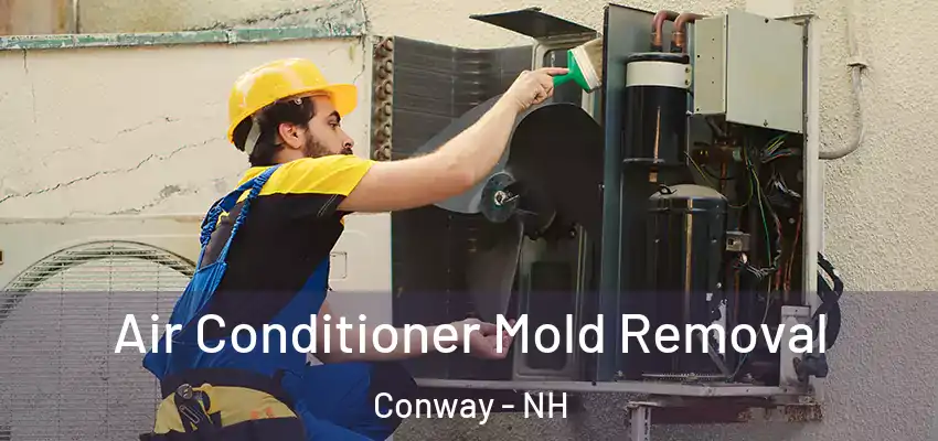  Air Conditioner Mold Removal Conway - NH