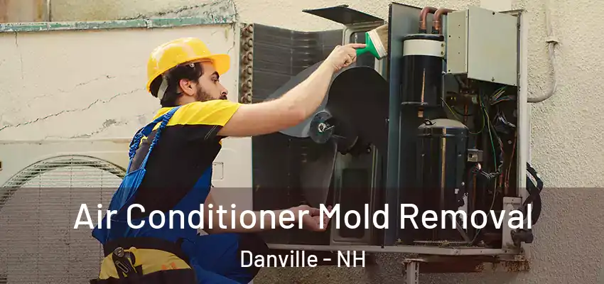  Air Conditioner Mold Removal Danville - NH