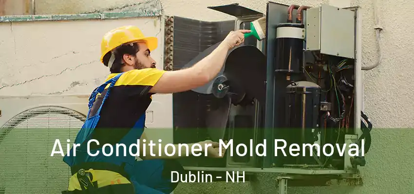  Air Conditioner Mold Removal Dublin - NH