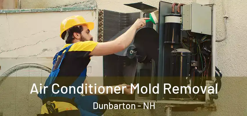  Air Conditioner Mold Removal Dunbarton - NH