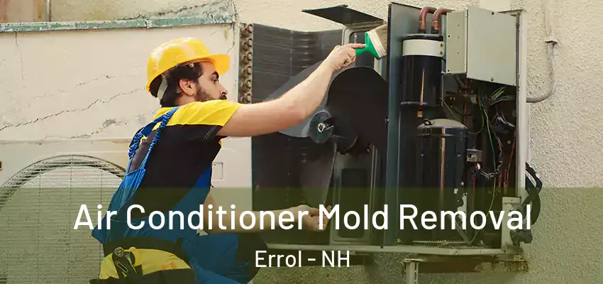  Air Conditioner Mold Removal Errol - NH