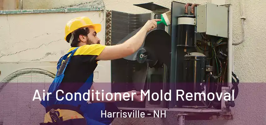 Air Conditioner Mold Removal Harrisville - NH