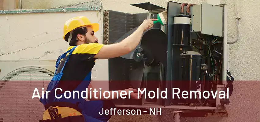  Air Conditioner Mold Removal Jefferson - NH