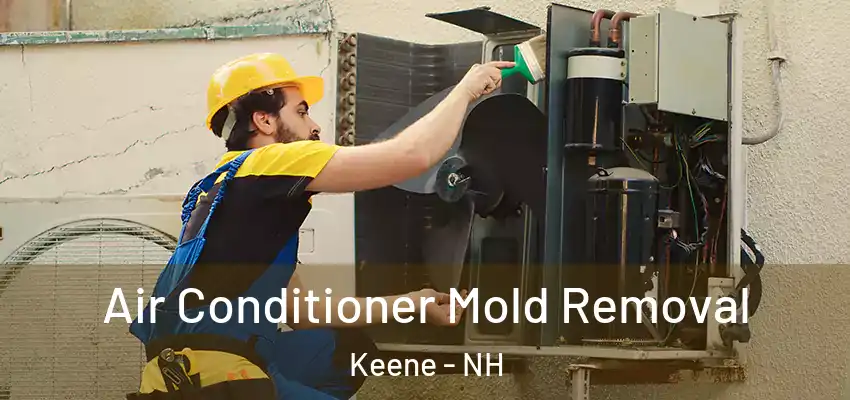  Air Conditioner Mold Removal Keene - NH