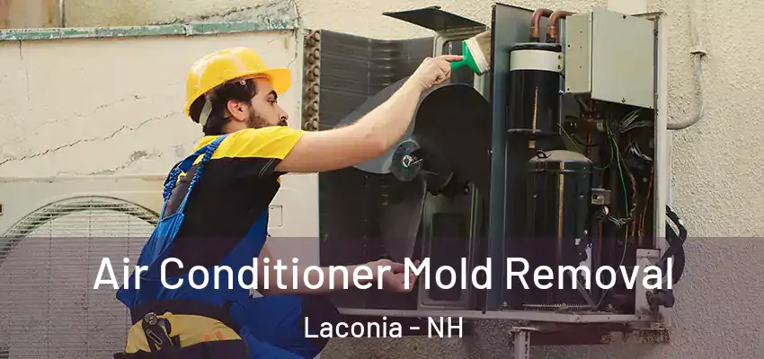  Air Conditioner Mold Removal Laconia - NH