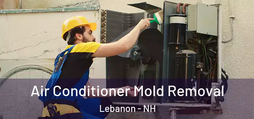  Air Conditioner Mold Removal Lebanon - NH