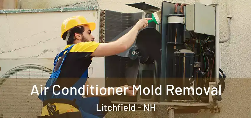  Air Conditioner Mold Removal Litchfield - NH