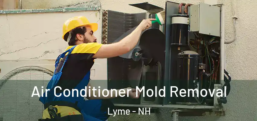  Air Conditioner Mold Removal Lyme - NH