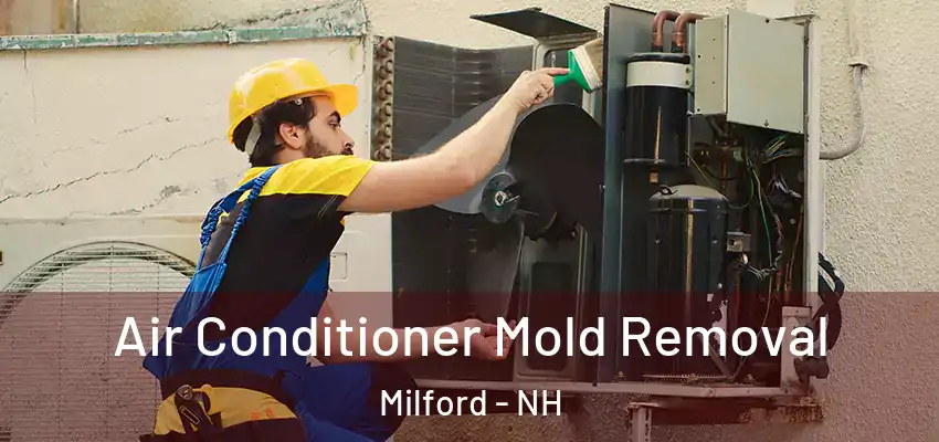  Air Conditioner Mold Removal Milford - NH