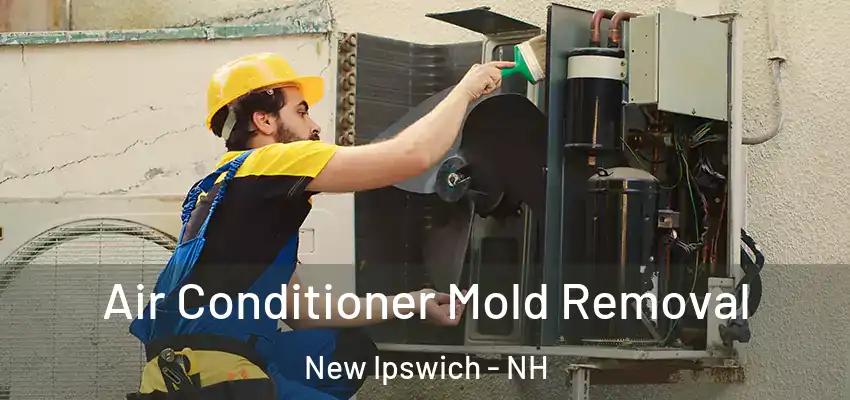 Air Conditioner Mold Removal New Ipswich - NH