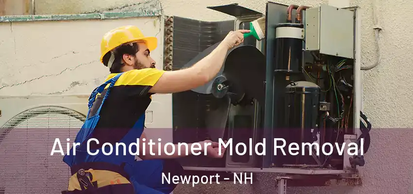  Air Conditioner Mold Removal Newport - NH