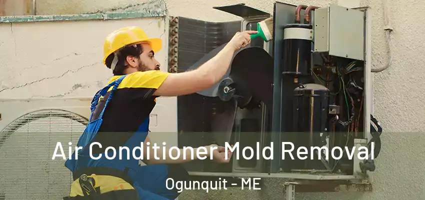 Air Conditioner Mold Removal Ogunquit - ME