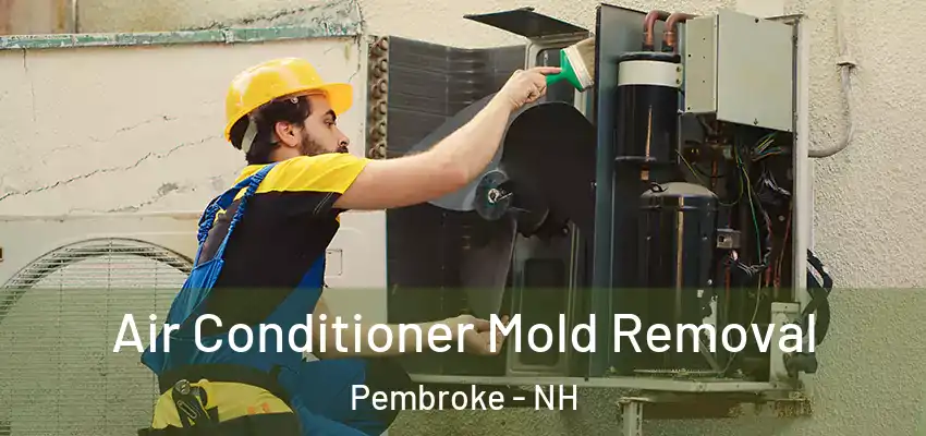  Air Conditioner Mold Removal Pembroke - NH
