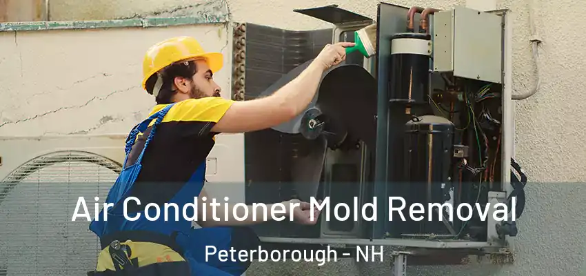  Air Conditioner Mold Removal Peterborough - NH