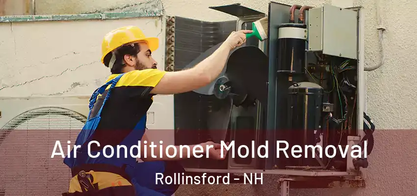  Air Conditioner Mold Removal Rollinsford - NH