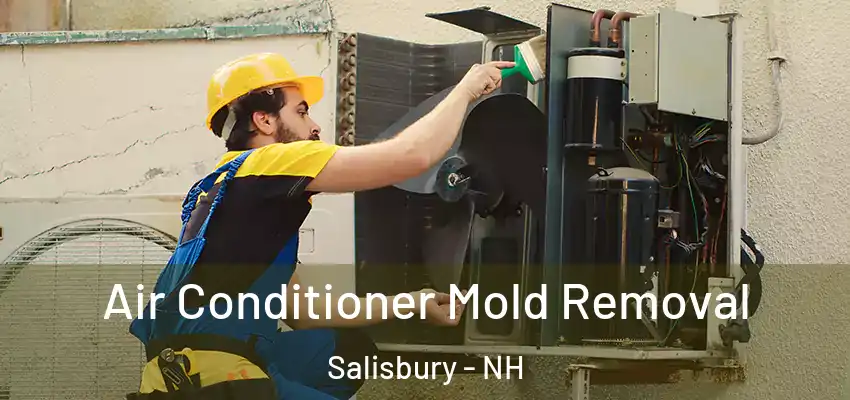  Air Conditioner Mold Removal Salisbury - NH