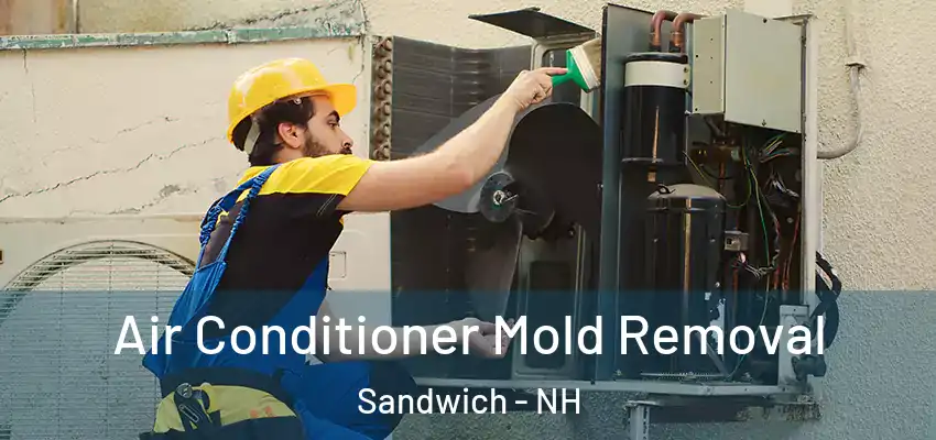  Air Conditioner Mold Removal Sandwich - NH