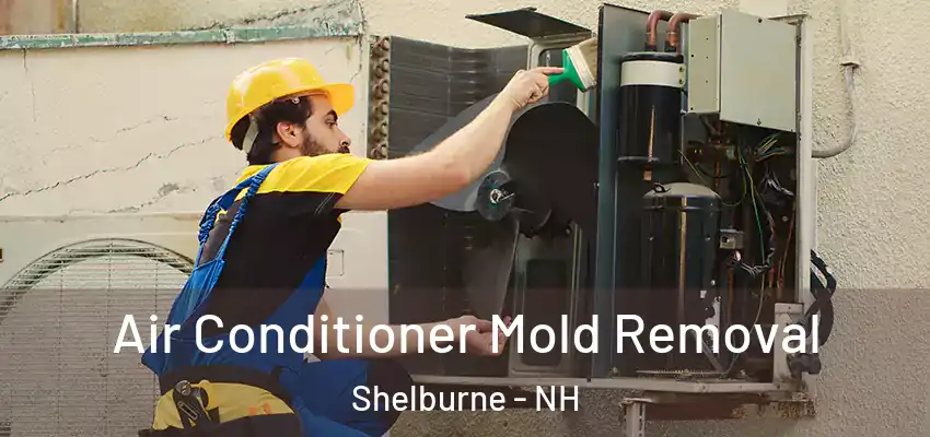  Air Conditioner Mold Removal Shelburne - NH