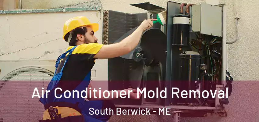  Air Conditioner Mold Removal South Berwick - ME