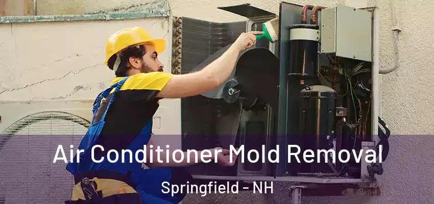  Air Conditioner Mold Removal Springfield - NH