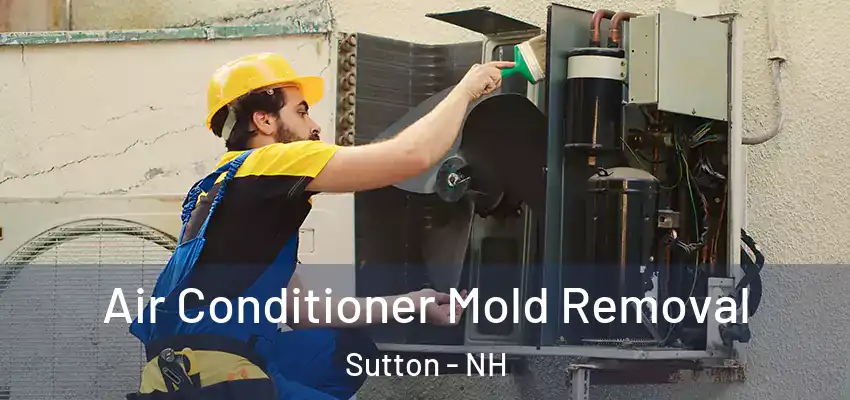  Air Conditioner Mold Removal Sutton - NH