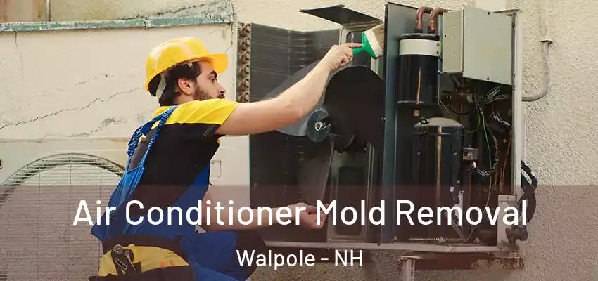  Air Conditioner Mold Removal Walpole - NH