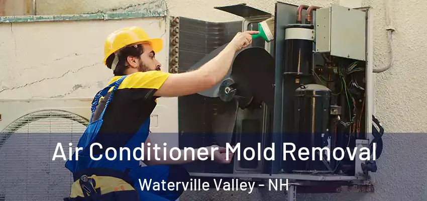  Air Conditioner Mold Removal Waterville Valley - NH