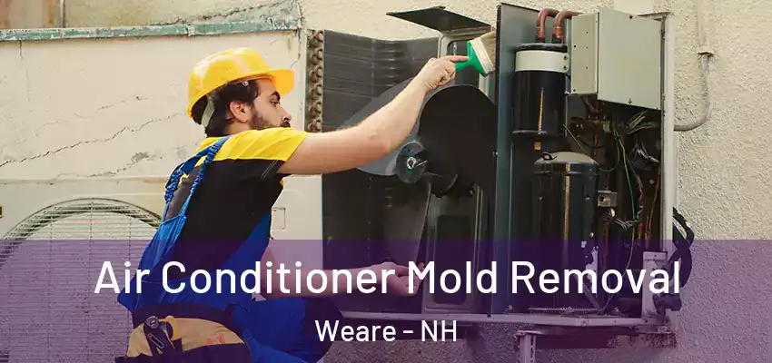  Air Conditioner Mold Removal Weare - NH