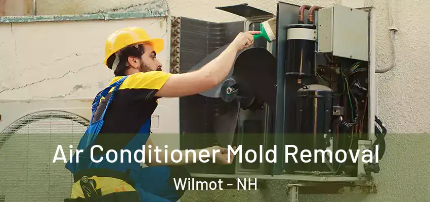  Air Conditioner Mold Removal Wilmot - NH