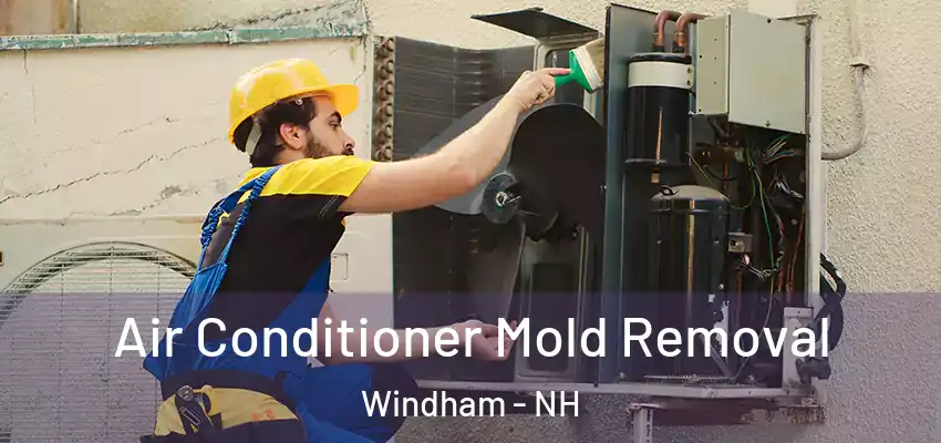 Air Conditioner Mold Removal Windham - NH