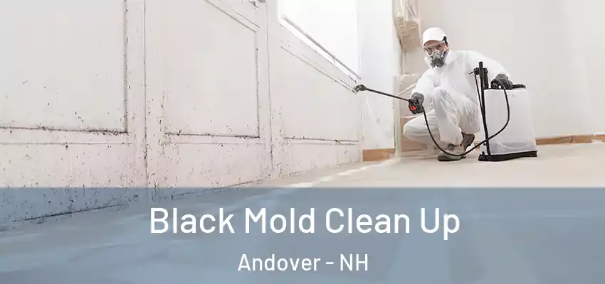 Black Mold Clean Up Andover - NH