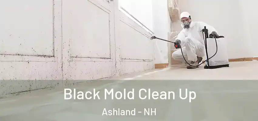 Black Mold Clean Up Ashland - NH