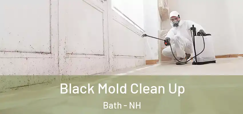  Black Mold Clean Up Bath - NH