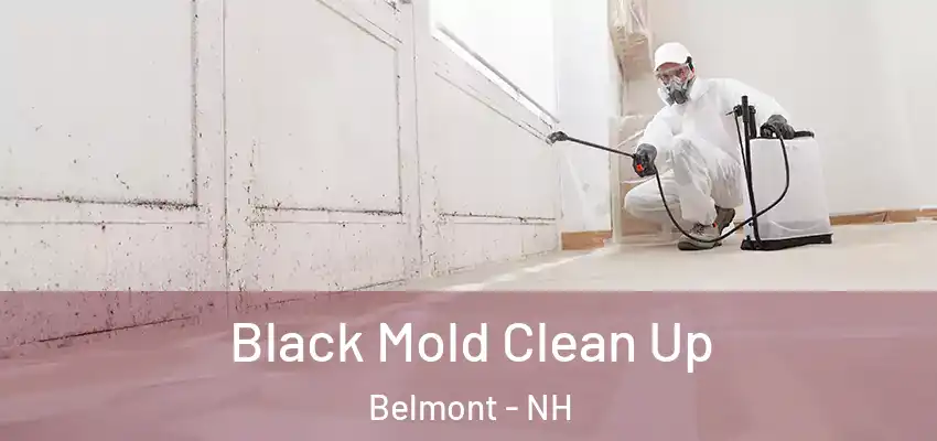  Black Mold Clean Up Belmont - NH