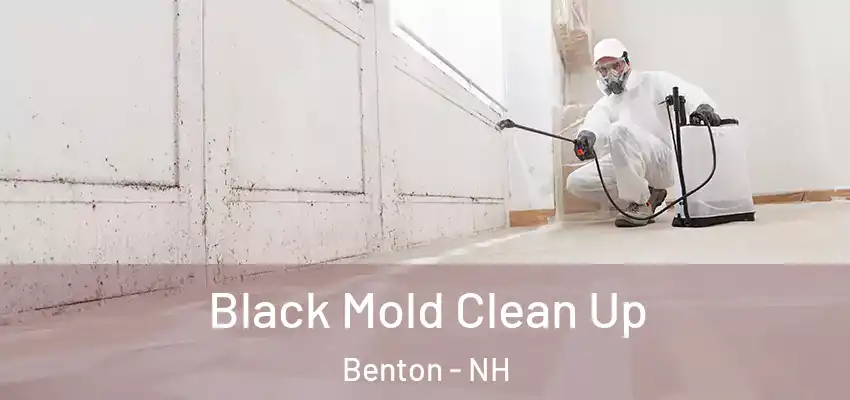  Black Mold Clean Up Benton - NH