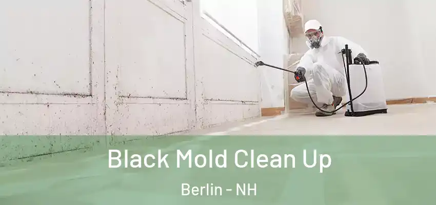  Black Mold Clean Up Berlin - NH