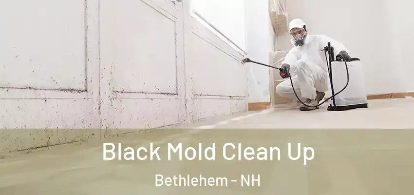  Black Mold Clean Up Bethlehem - NH
