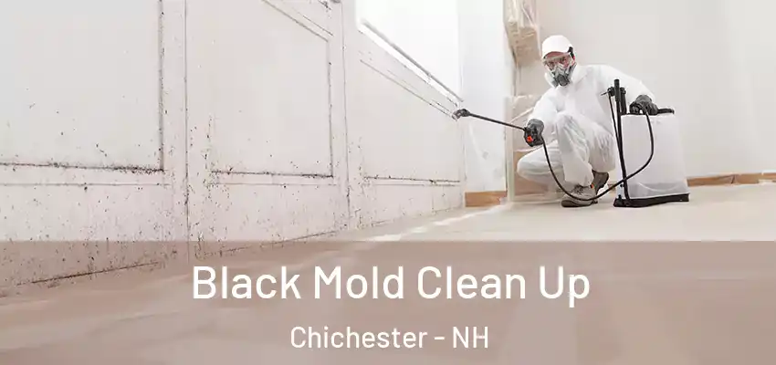  Black Mold Clean Up Chichester - NH