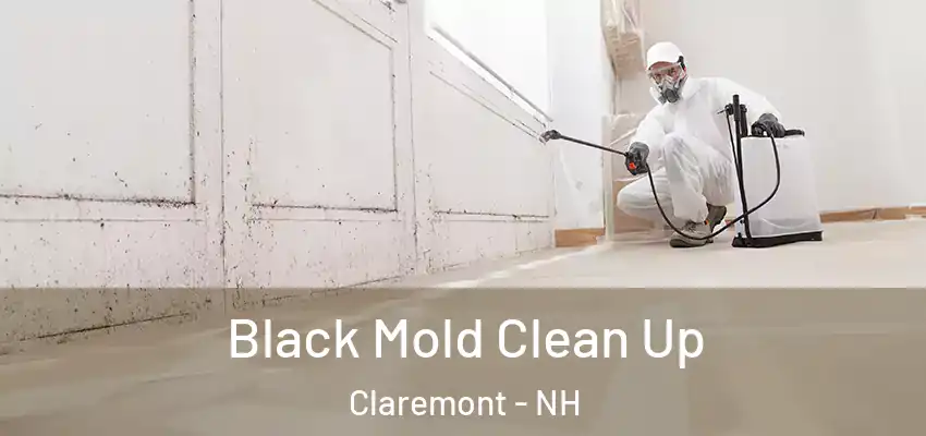  Black Mold Clean Up Claremont - NH