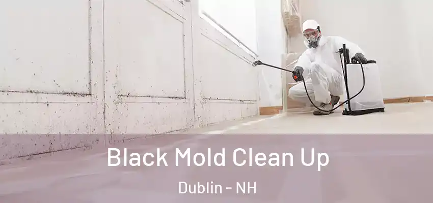  Black Mold Clean Up Dublin - NH
