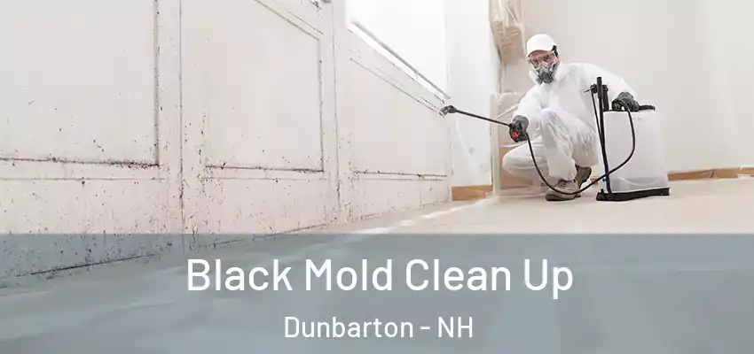  Black Mold Clean Up Dunbarton - NH