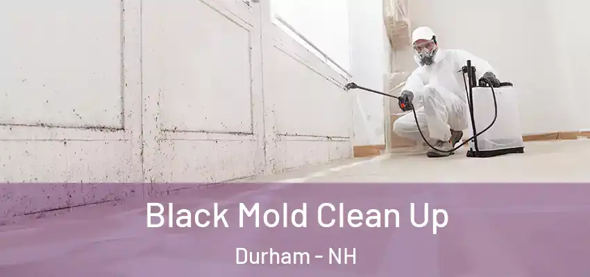  Black Mold Clean Up Durham - NH