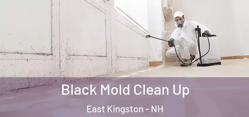 Black Mold Clean Up East Kingston - NH