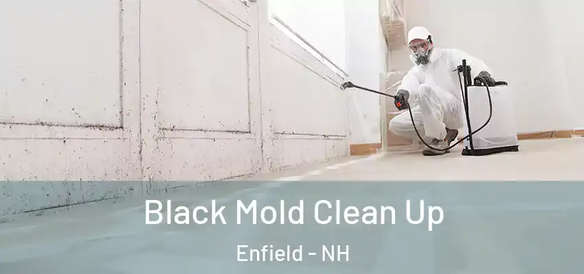  Black Mold Clean Up Enfield - NH